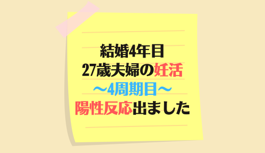 【結婚4年目】27歳夫婦の妊活4周期目！ついにくっきり陽性反応が