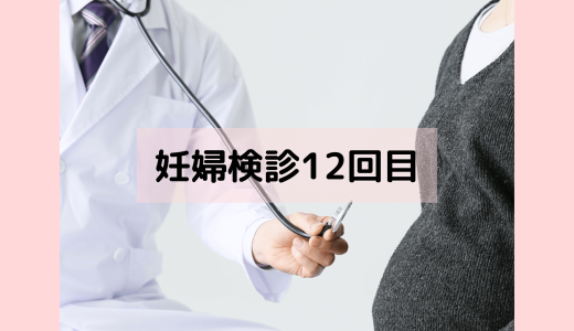 【37W】12回目の妊婦健診レポート！正期産に入りました